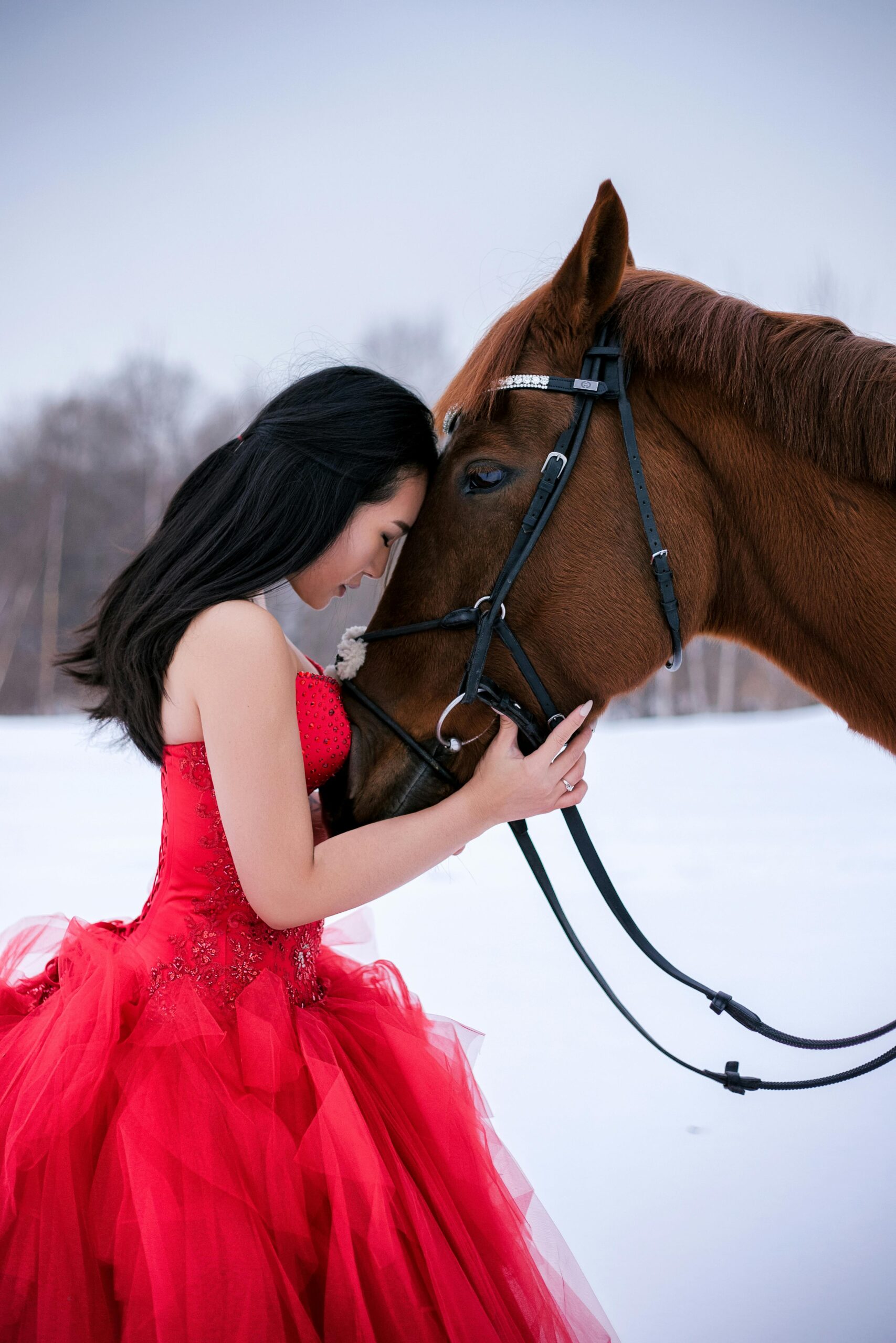 draft horse